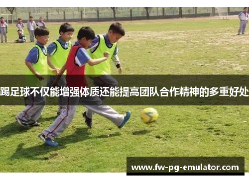 踢足球不仅能增强体质还能提高团队合作精神的多重好处 踢足球不仅能增强体质还能提高团队合作精神的多重好处