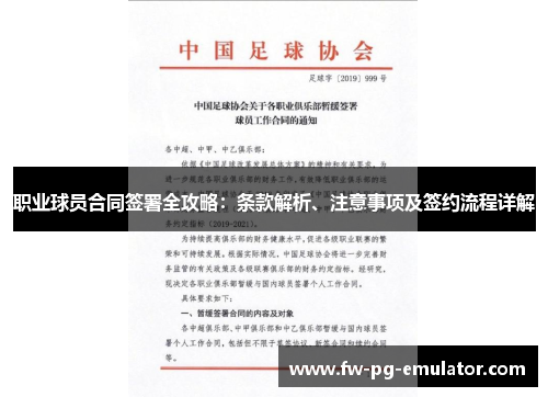 职业球员合同签署全攻略:条款解析、注意事项及签约流程详解 职业球员合同签署全攻略:条款解析、注意事项及签约流程详解